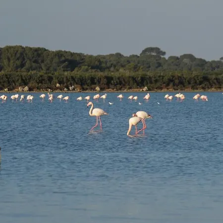 Idéal Touristes Appartamento *