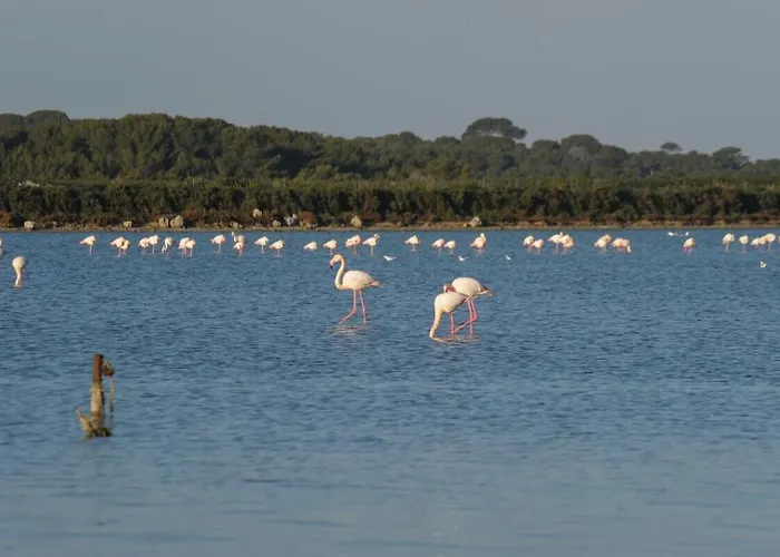 Ideal Touristes Апартаменты *